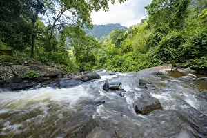 Motion Blur Waterfalls Drucke: Waterfall flows through thick vegetation