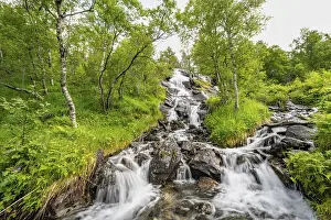 Norway Waterfall Drucke: Waterfall in forest between birch trees