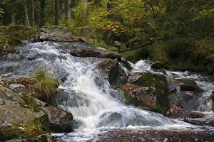 Saxony Anhalt Germany Landscape Drucke: Waterfall of a low mountain stream