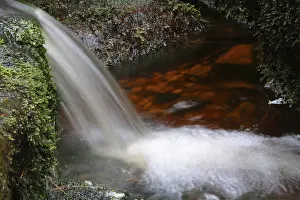 Central Europe Nature Reserve Drucke: Waterfall of a low mountain stream