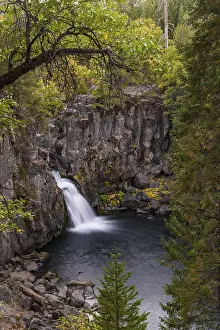 American Nature Photography Drucke: Waterfall, McCloud Falls, Upper Fall