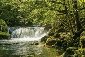 French Countryside Landscapes Drucke: Waterfall and mossy rocks, Source de la Loue