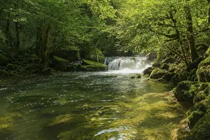 Mossy Rock Formations Drucke: Waterfall and mossy rocks, Source de la Loue