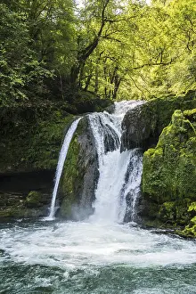 Waterfall In France Drucke: Waterfall and mossy rocks, Source de la Loue
