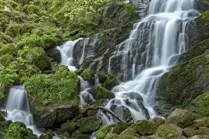 Deserted Mountain Scenery Drucke: Waterfall in a mountain forest in springtime