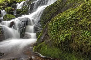 Gerahmter Druck : Wasserfall in einem Bergwald im Frühling. Gerahmter Druck : Wasserfall in einem Bergwald im Frühling.