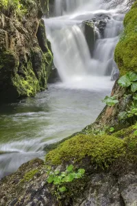 Uninhabited Mountain Stream Drucke: Waterfall, mountain river Stimitz