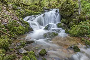 Vosges Mountains Waterfall Drucke: Waterfall on a mountain stream in spring
