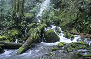 Rocky Mountain Formation Drucke: Waterfall on Olympic Peninsula