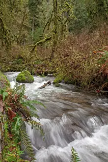 Usa Waterfalls Drucke: Waterfall in Oregon