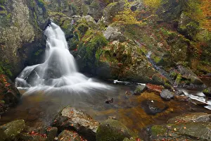 Vosges Waterfall Drucke: Waterfall, Petit Cascade de Tendon