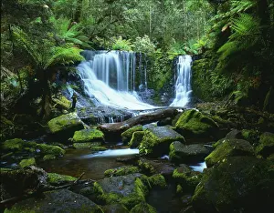 Tropical Waterfall Drucke: Waterfall in the rainforest, Horseshue Fall