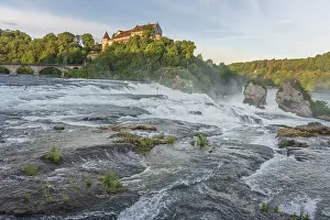 Neuhausen Am Rheinfall Drucke: Waterfall of Rhine Falls in spring