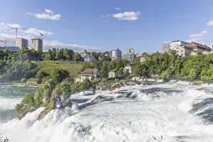 Switzerland Waterfalls Drucke: Waterfall of Rhine Falls in spring