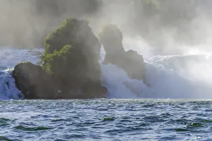 Neuhausen Am Rheinfall Drucke: Waterfall of Rhine Falls in spring
