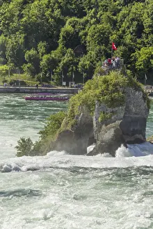 Switzerland Waterfalls Drucke: Waterfall of Rhine Falls in spring