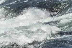 Switzerland Waterfalls Drucke: Waterfall of Rhine Falls in spring