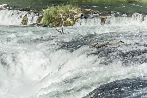 Central Europe Natural Landmark Drucke: Waterfall of Rhine Falls in spring