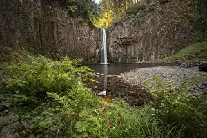 Ferns In Nature Drucke: Waterfall, rock face with basalt columns