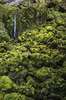 Landscape Photography Europe Drucke: Waterfall, Source du Lison, Source des Lison