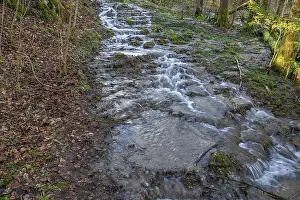 Bavaria Waterfall Drucke: Waterfall of a stream in spring