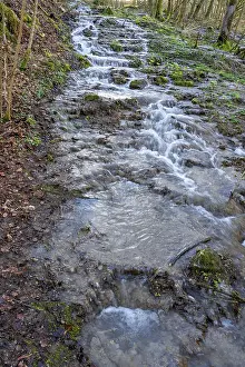 Bavaria Waterfalls Drucke: Waterfall of a stream in spring