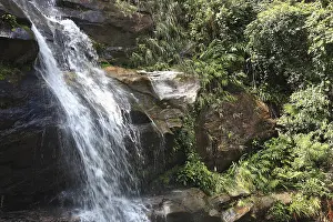 Waterfall In Brazil Drucke: Waterfall in the Tijuca Forest