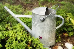 Gardening Tools Drucke: Watering-can