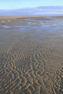 German Coastal Area Photography Drucke: Wave-like patterns in sand at low tide