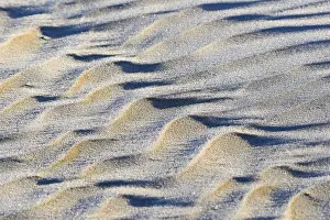 Lower Saxony Shoreline Drucke: Wave-like structures, ripple in the sand