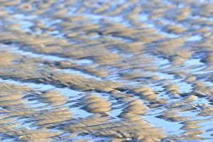Full Frame Coastal Photo Drucke: Wave-like structures (ripple) in the sand in the evening light