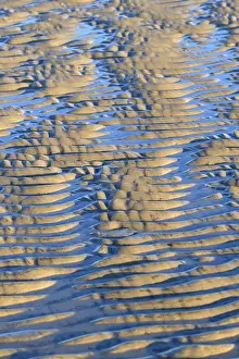 Sandy Ocean Beach Europe Drucke: Wave-like structures, ripples in the sand at low tide