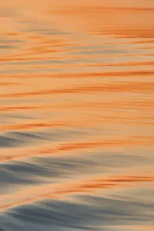 Brahmaputra River Sunset Drucke: Wave pattern on the Brahmaputra river at sunset