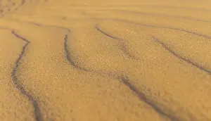 Wave Pattern In Sand Drucke: Wave pattern in sand dune, Sandfly Bay