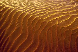 Wavy Sand Dune Patterns Drucke: Wave pattern in the sand dunes of Erg Chegaga