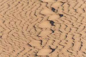 Wave Pattern In Sand Drucke: Wave pattern in the sand, Sossusvlei