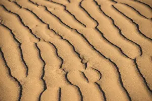 Namibia Desert Landscape Drucke: Wave pattern in the sand, Sossusvlei