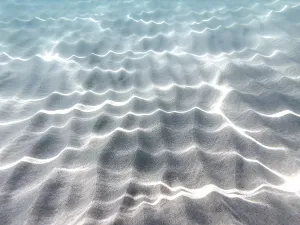 Peaceful Waterfront Scene Drucke: Wave patterns and light reflections in the clear water over a sandy bottom