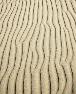 Wavy Sand Patterns Drucke: Wave patterns in light sand, Sandfly Bay