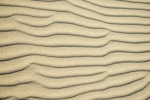 Wavy Sand Patterns Drucke: Wave patterns in light sand, Sandfly Bay
