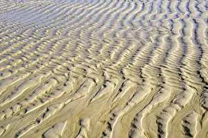 Northern Germany Coastal Area Drucke: Wave structure in the sand at low tide