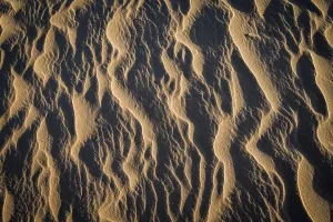 Nature Photography USA Drucke: Wave structures in the bright sandy beach