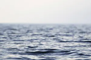 Uninhabited Coastline Scene Drucke: Wave on the water