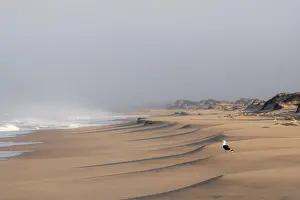Deserted Sandy Beaches Drucke: Waves burn on the Atlantic coast