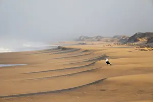 Deserted Sandy Beaches Africa Drucke: Waves burn on the Atlantic coast
