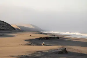 Uninhabited Coastal Area Drucke: Waves burn on the Atlantic coast