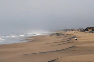 Namib Naukluft Park Tourism Drucke: Waves burn on the Atlantic coast