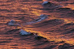 Arctic Ocean Evening Light Drucke: Waves in the evening light, Arctic Ocean