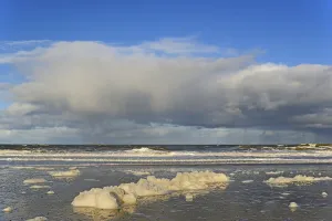 Lower Saxony Coastal Region Drucke: Waves on a sandy beach with foam formation