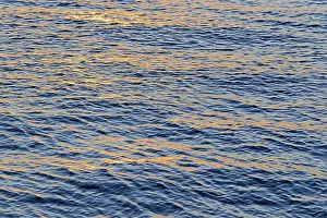 Lower Saxony Coastal Area Drucke: Waves, sea surface at evening sun